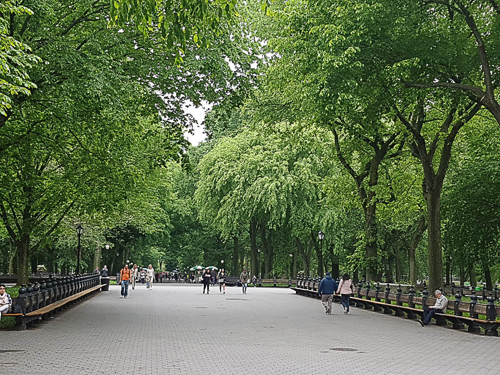 Mayo en Nueva York